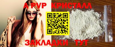 Альфа ПВП Кандалакша