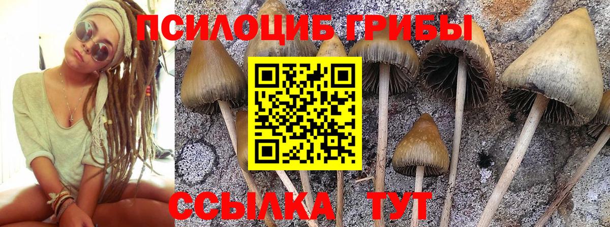 Галлюциногенные грибы мухоморы Красноуфимск