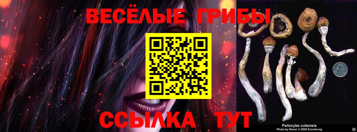 Галлюциногенные грибы прущие грибы  Вход с VPN  Красноуфимск 
